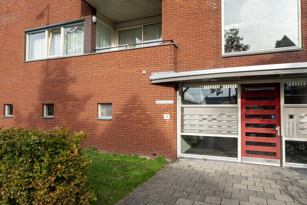 Medium property photo - Bergermeerstraat 61, 2493 XG Den Haag